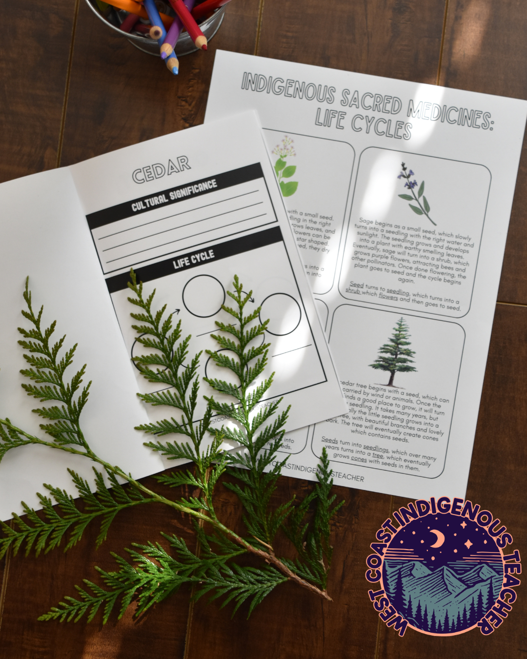 Four Sacred Medicines Lesson and Plant Life Cycle Activities