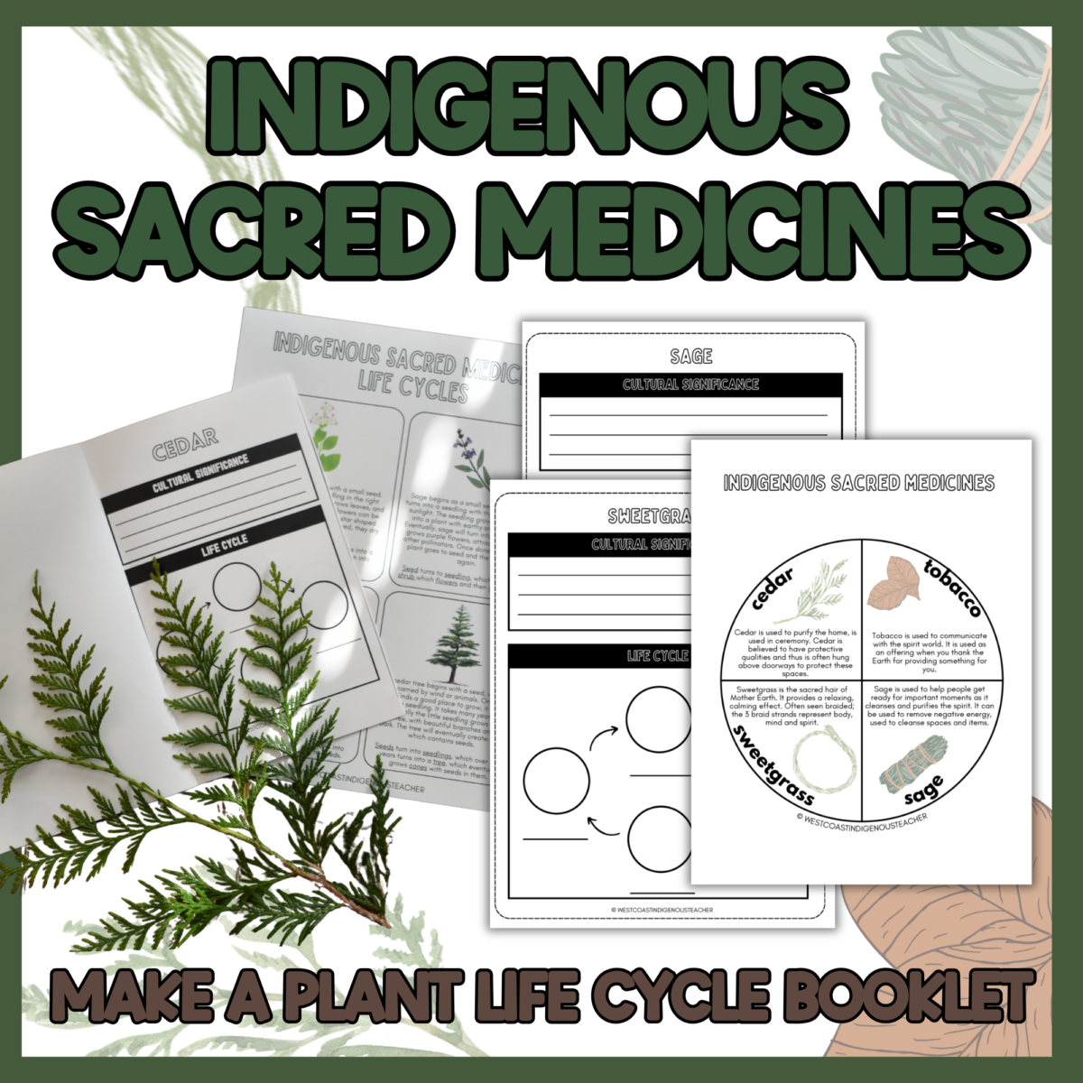 Four Sacred Medicines Lesson and Plant Life Cycle Activities