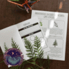 four sacred medicines Four Sacred Medicines Lesson and Plant Life Cycle Activities