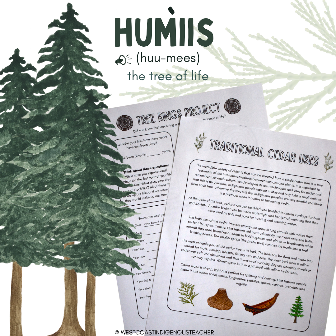 indigenous-education-thumbnails (12) Outdoor Education Activities Bundle - Nature Journal and Indigenous Learning