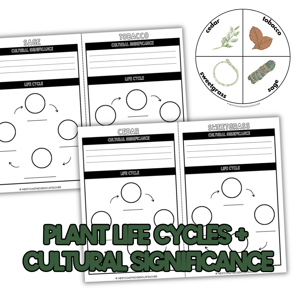 indigenous sacred medicines 1 indigenous sacred medicines activity