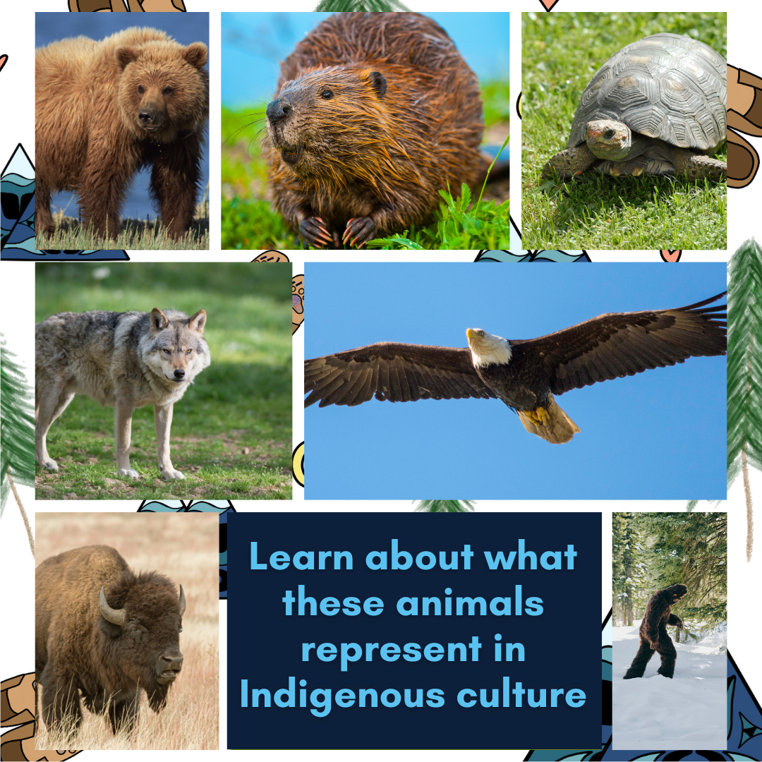 7 Sacred Teachings Animal BUNDLE - Indigenous Culture, Animal Life Cycles, Lessons