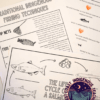 Salmon Life Cycle, First Nations Culture - Indigenous Education