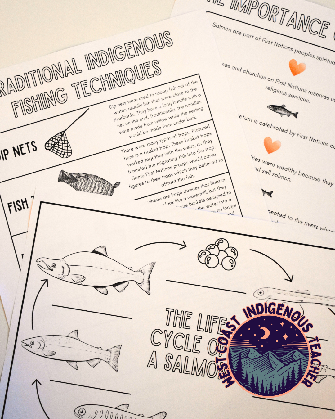 Salmon Life Cycle, First Nations Culture - Indigenous Education