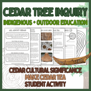 Cedar Tree Inquiry and Activity - Indigenous Outdoor Education - Tree Study