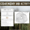 Cedar Tree Inquiry and Activity - Indigenous Outdoor Education - Tree Study