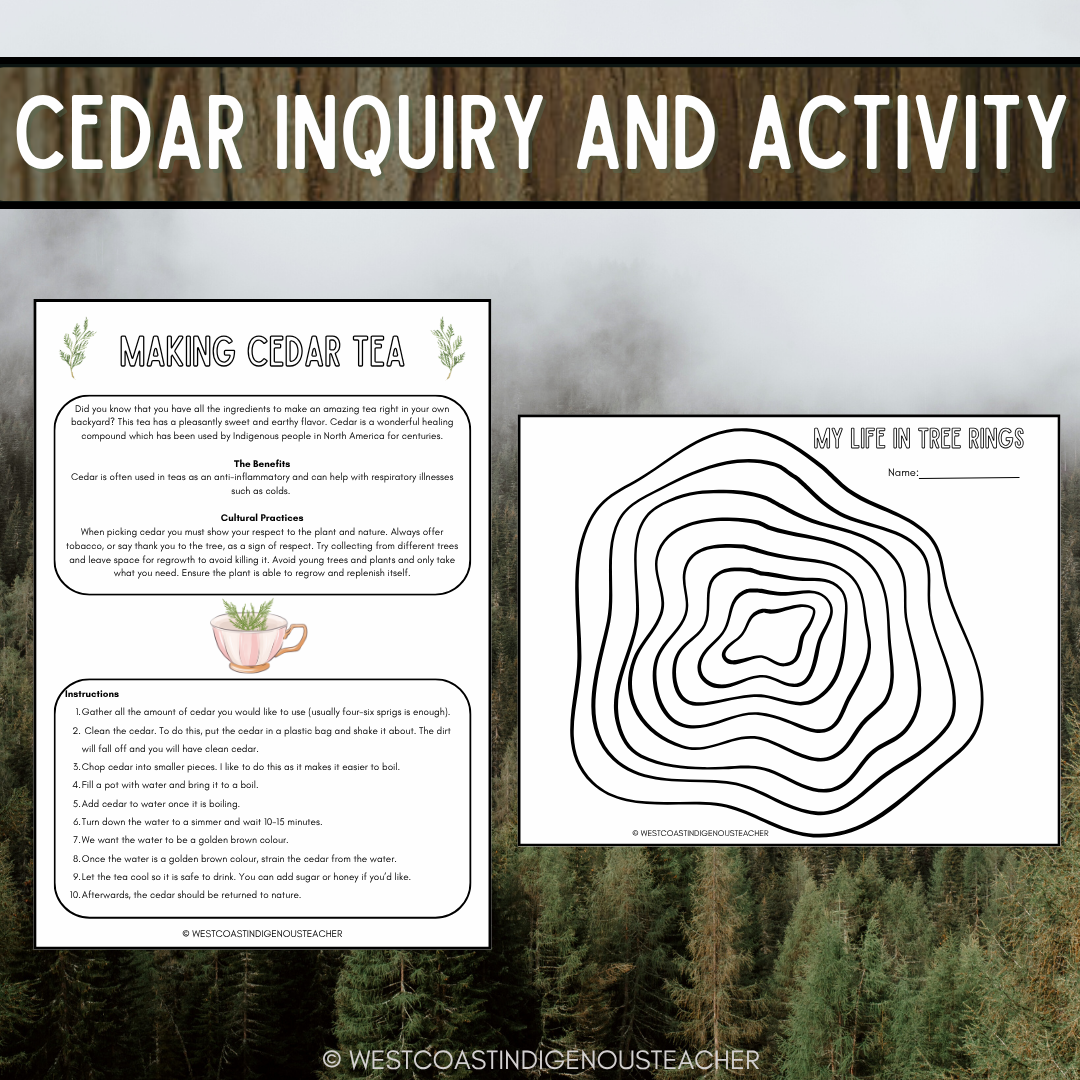 Cedar Tree Inquiry and Activity - Indigenous Outdoor Education - Tree Study