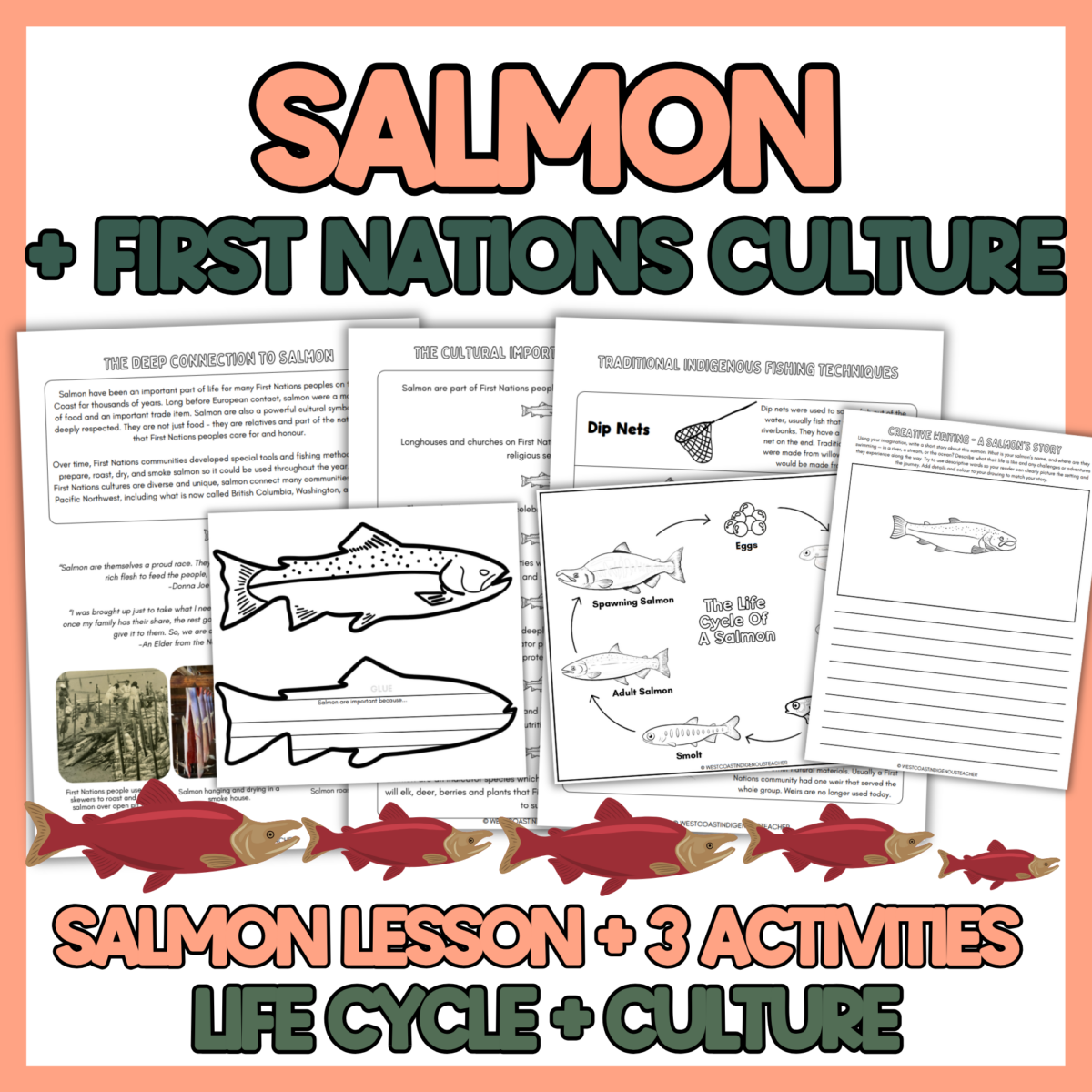 Salmon life cycle activities teaching students about the Pacific salmon life cycle and its cultural importance to First Nations.