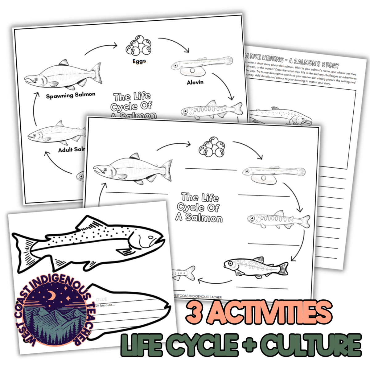 First Nations salmon lesson exploring the cultural significance of salmon and connections to land, water, and community.
