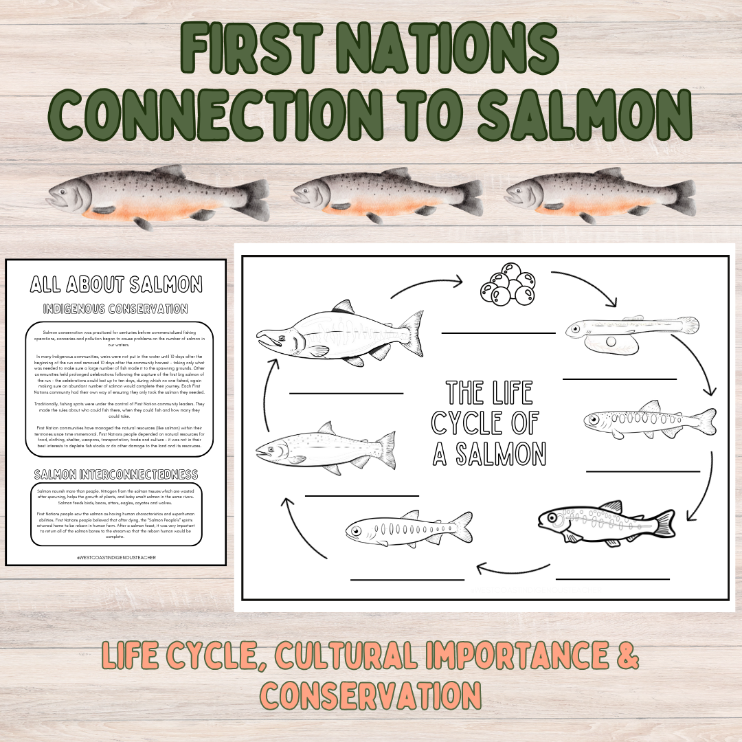Salmon Life Cycle, First Nations Culture - Indigenous Education