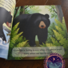 The Seven Sacred Teachings: A journey through nature’s Indigenous teachings