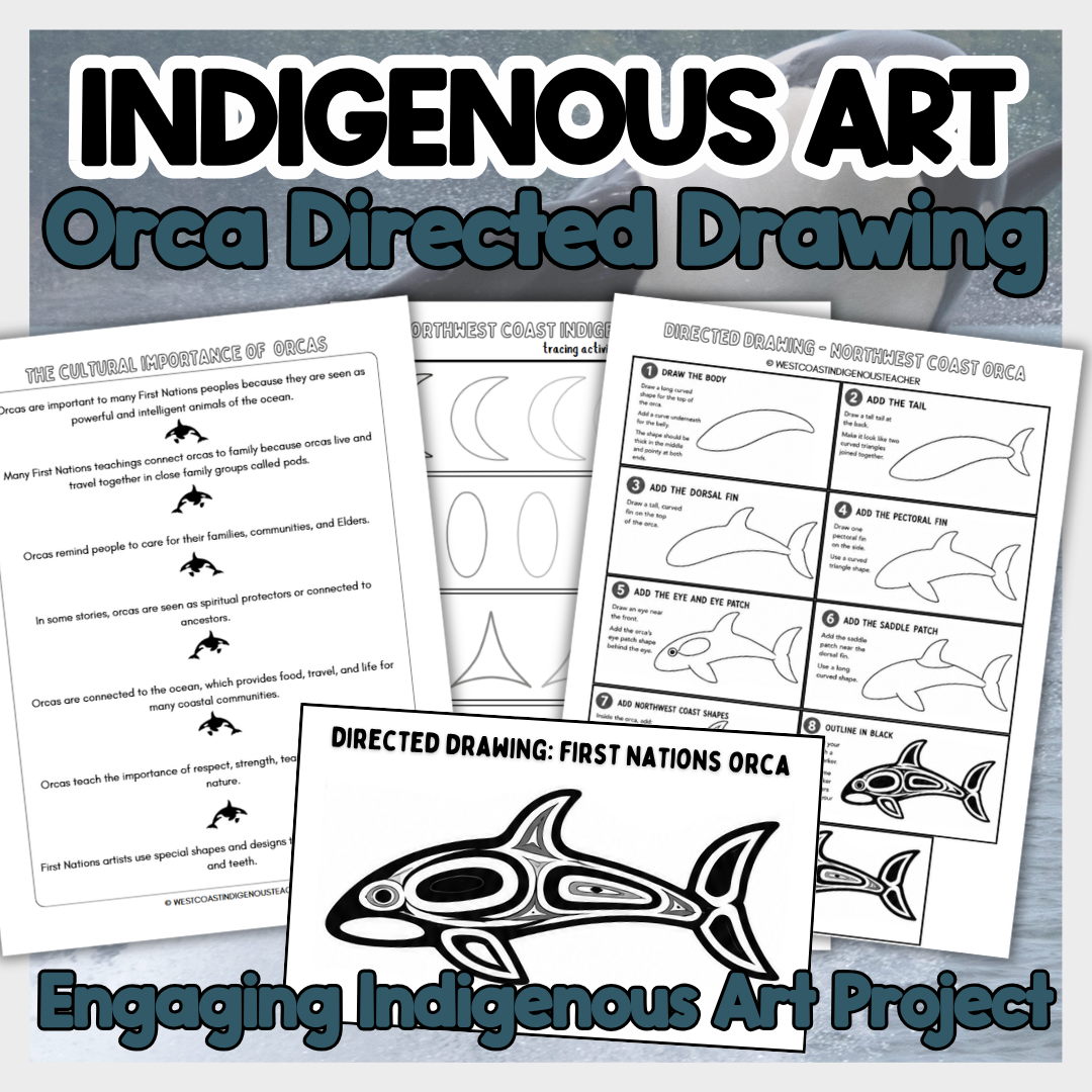 Indigenous Art Activities - Directed Drawing BUNDLE - How to Draw Animals for Kids