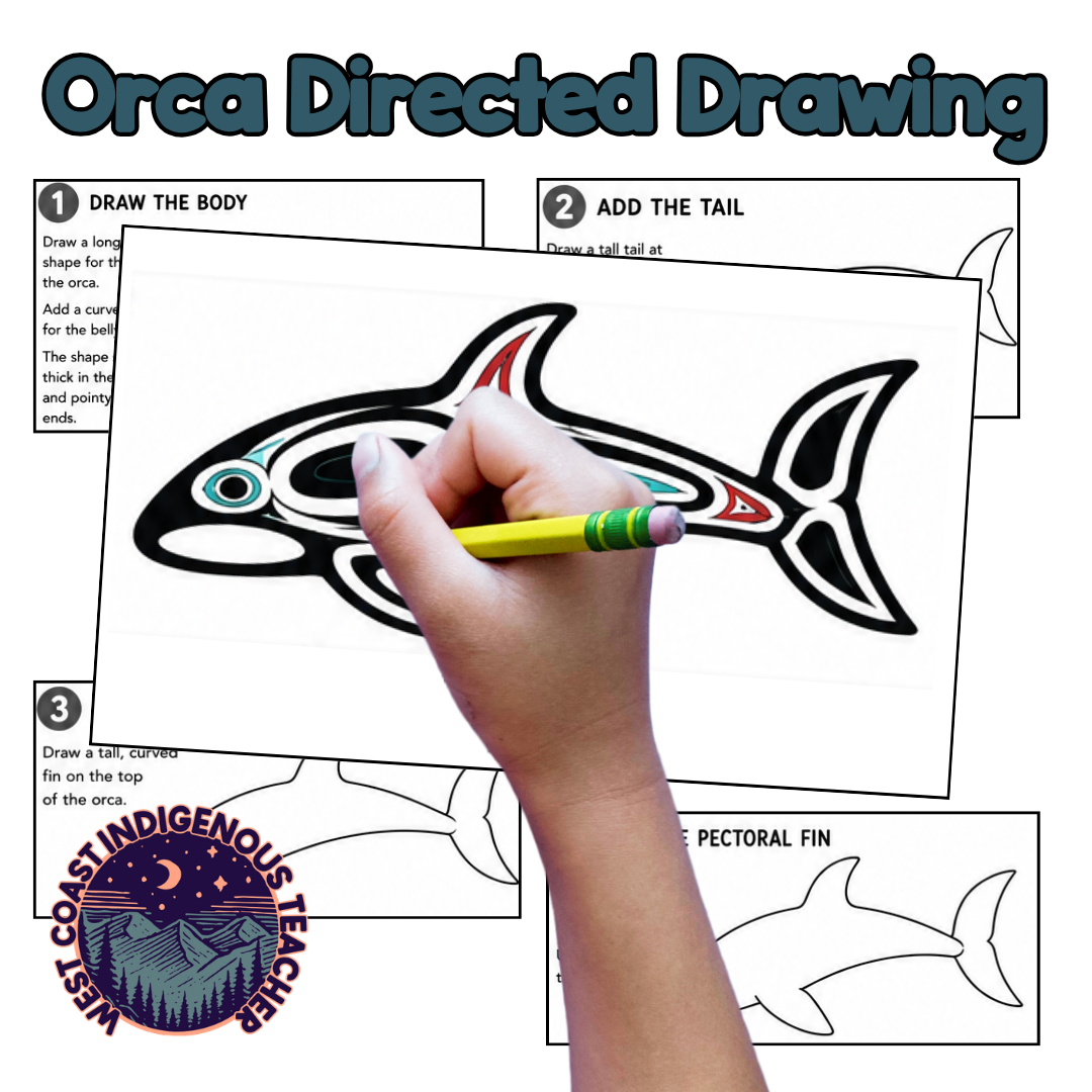 Indigenous Art Activities - Directed Drawing BUNDLE - How to Draw Animals for Kids