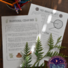 IG posts (21) Outdoor Education Activities Bundle - Nature Journal and Indigenous Learning