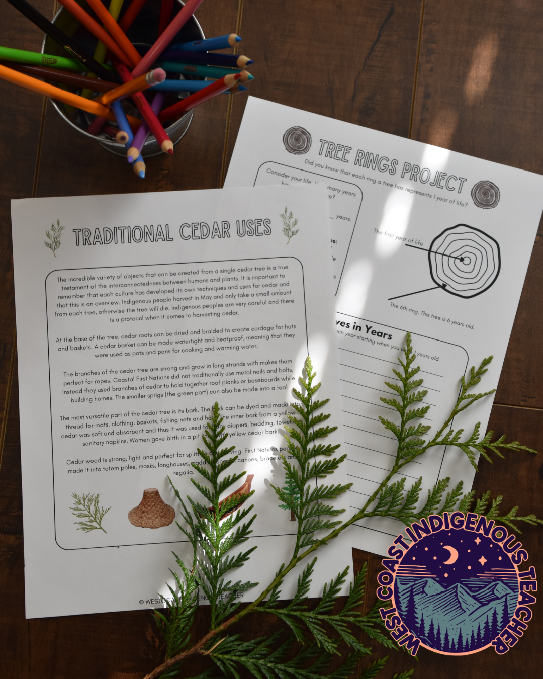 IG posts (21) Outdoor Education Activities Bundle - Nature Journal and Indigenous Learning