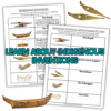Indigenous Inventions Activity and Student Project Indigenous inventions lesson with printable student activities