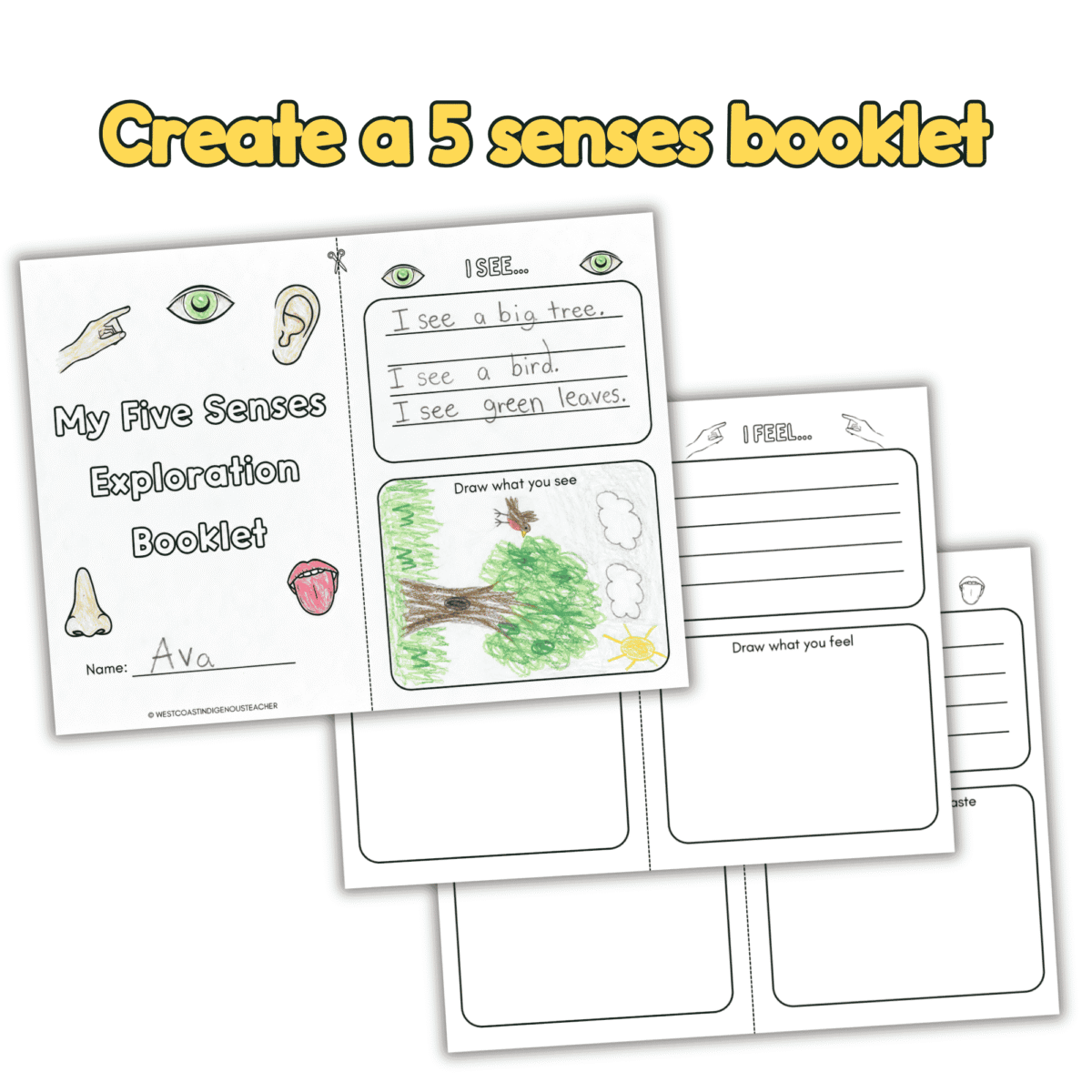 5 senses activity Nature Walk Activity, explore your 5 senses