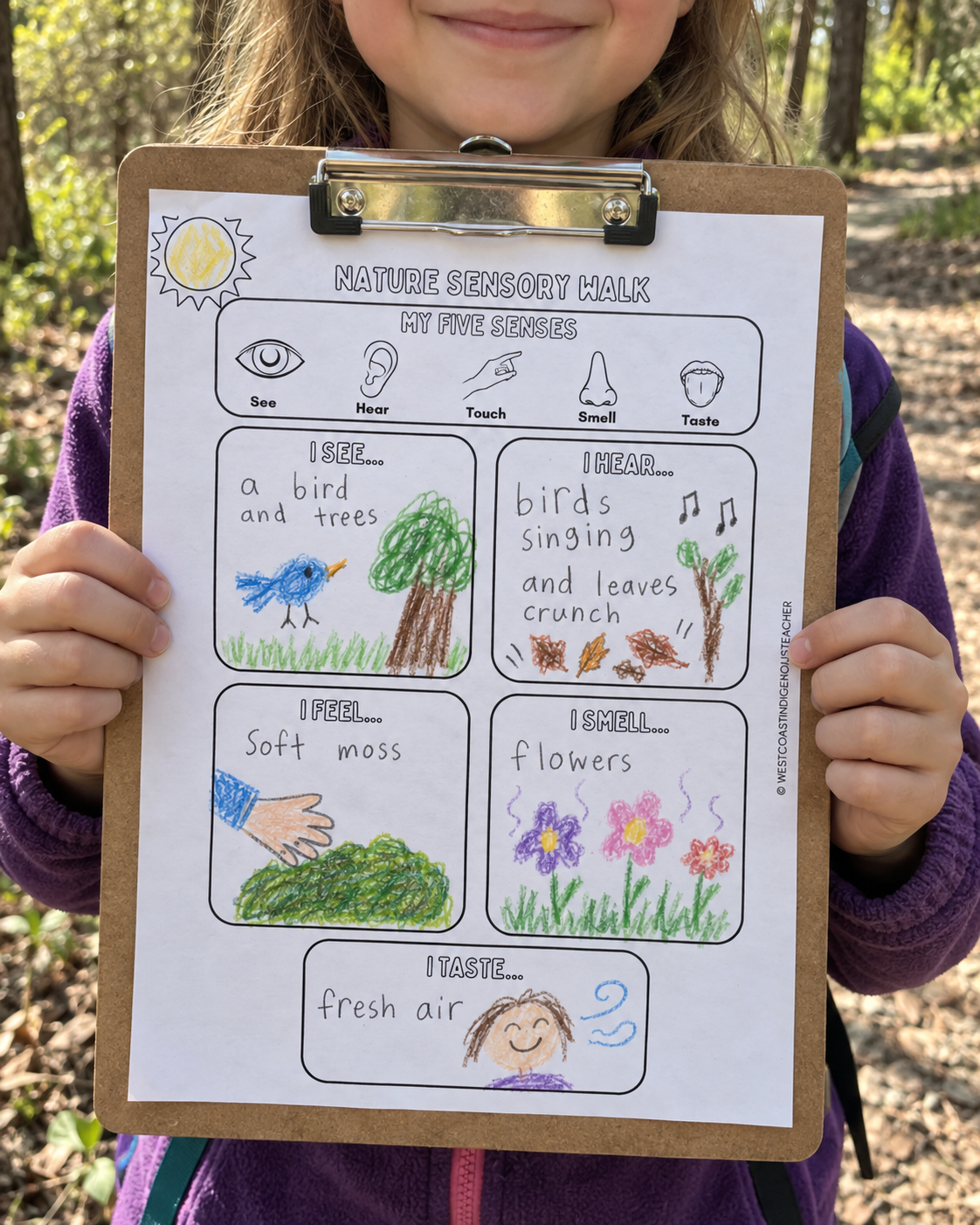 Nature Walk Activity Nature Walk Activity, explore your 5 senses