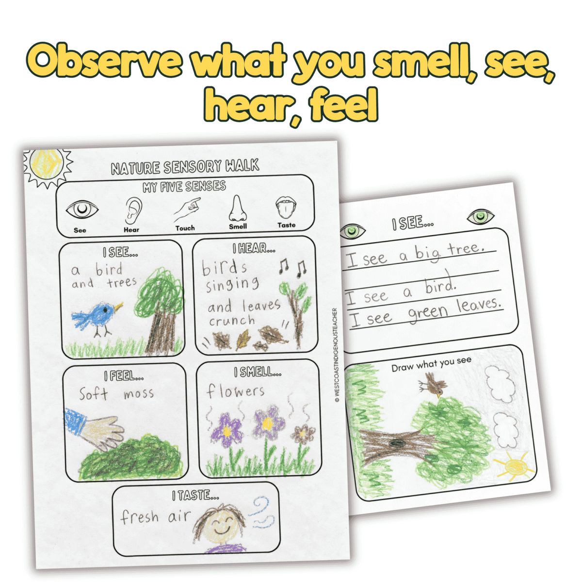 Nature Walk Activity (2) Five Senses Nature Walk Activity