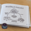 Natural Resources & Sustainability Booklet with Indigenous Connections