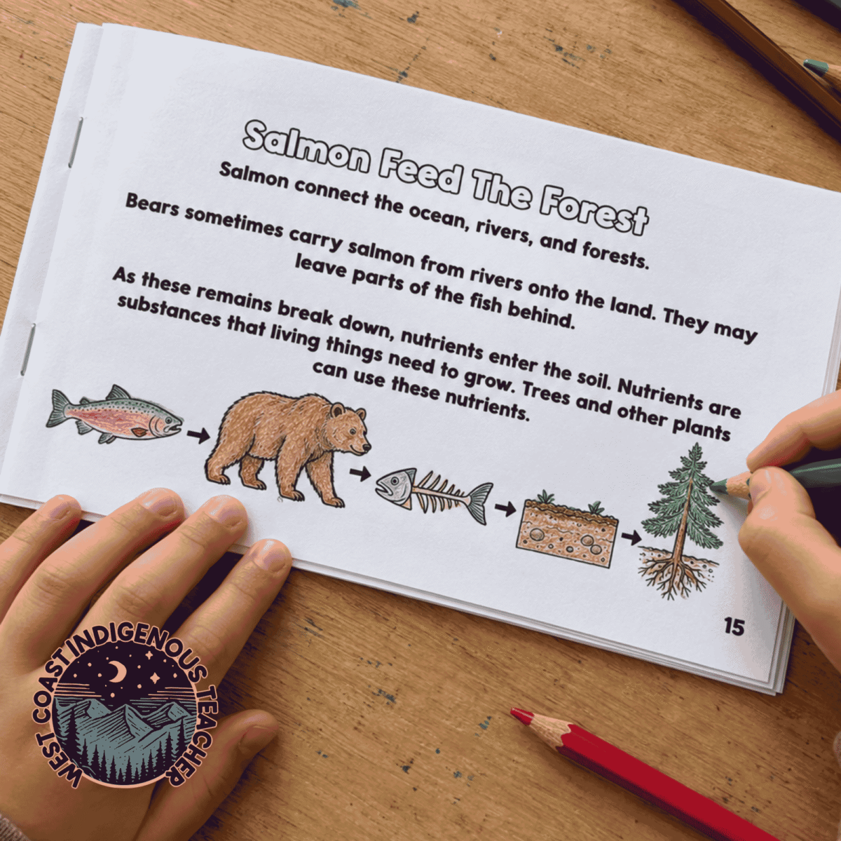 Salmon Life Cycle Booklet & Activities with Indigenous Connections