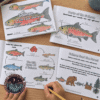 Salmon Life Cycle Booklet & Activities with Indigenous Connections