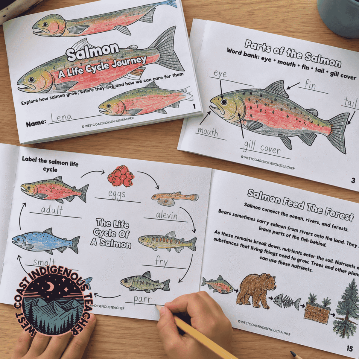 Salmon Life Cycle Booklet & Activities with Indigenous Connections