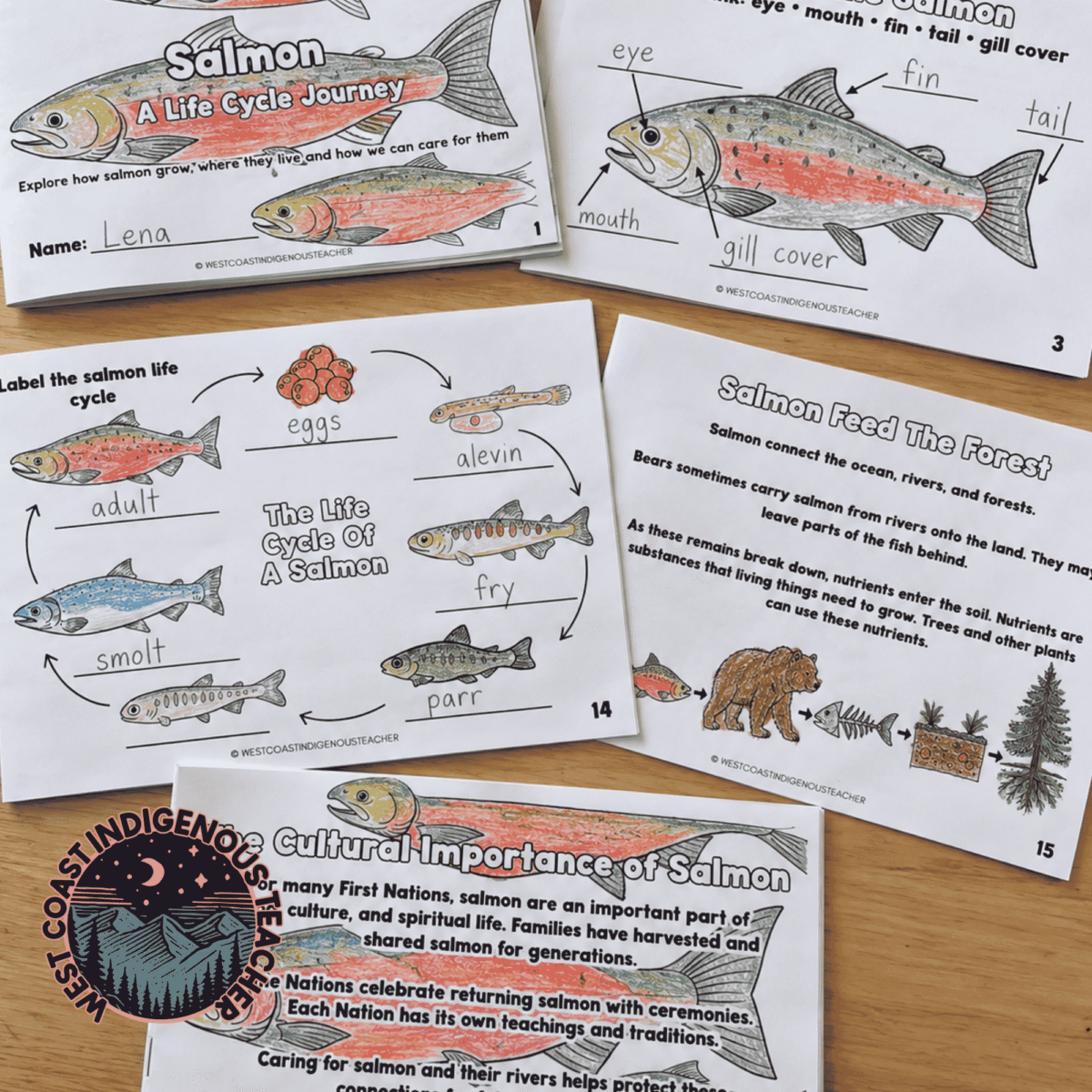 Salmon Life Cycle Booklet & Activities with Indigenous Connections
