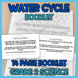 Grade 2 Water Cycle Booklet & Watershed Activities